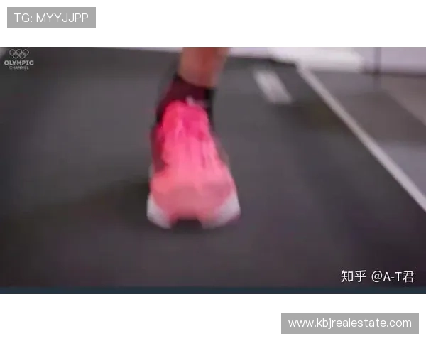 全面解析ku真人体育娱乐登录页的最新功能与操作指南，助您轻松畅享体育赛事投注